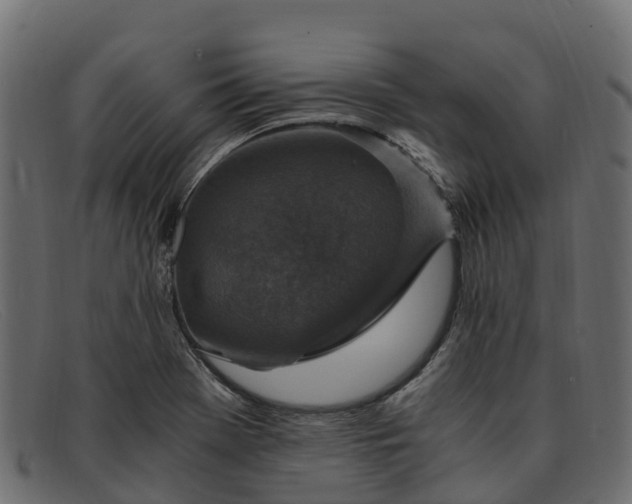 X0000091941369200709191411