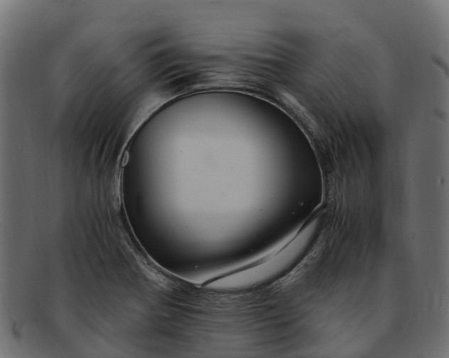 X0000091941370200709191411