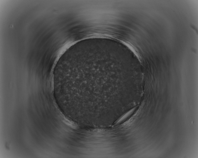 X0000091941371200709191411