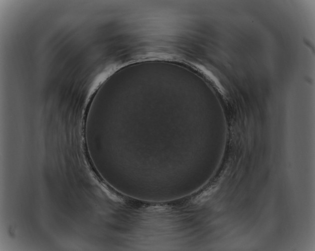 X0000091941373200709191411