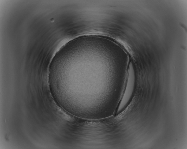 X0000091941374200709191411