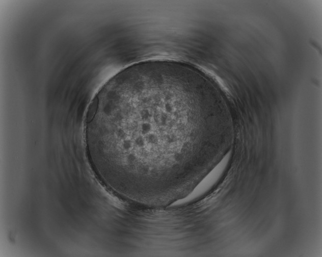 X0000091941375200709191411