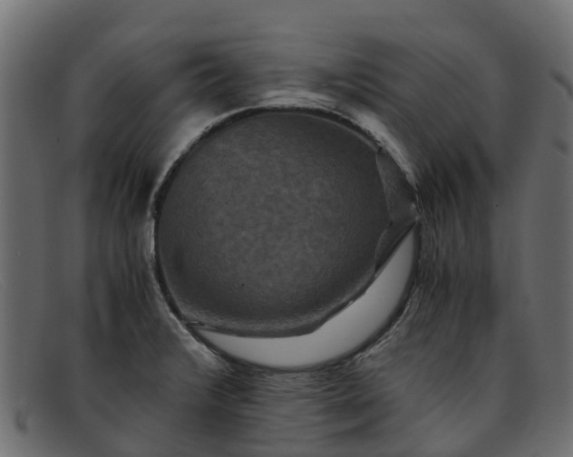 X0000091941376200709191411