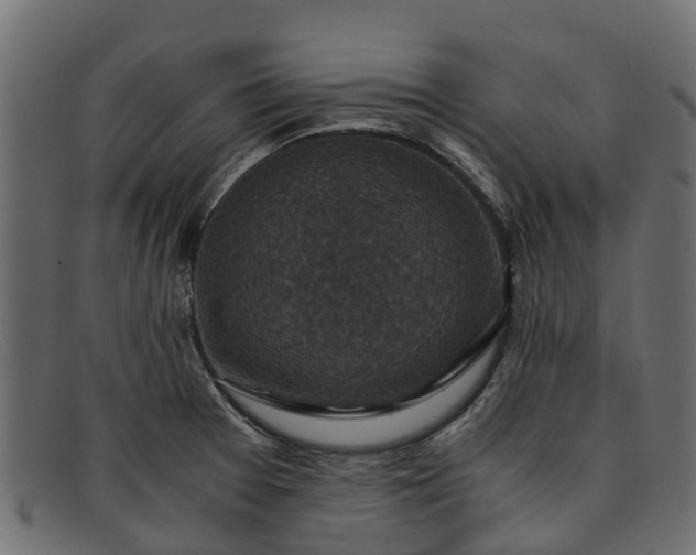 X0000091941377200709191411