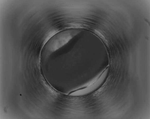 X0000091941378200709191411