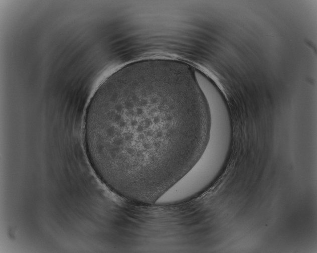 X0000091941379200709191411