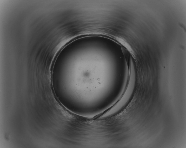 X0000091941380200709191411