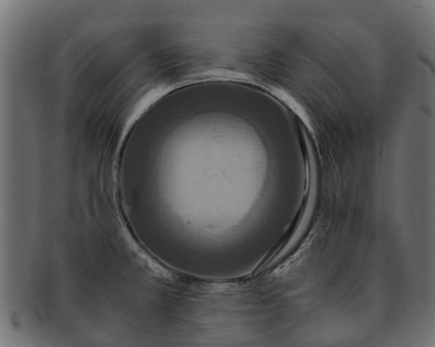 X0000091941381200709191411