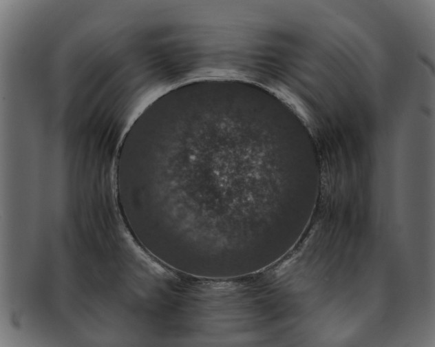 X0000091941382200709191411