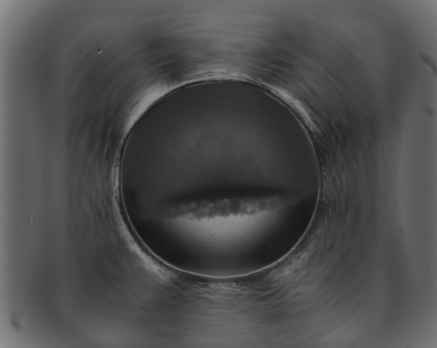 X0000091941383200709191411