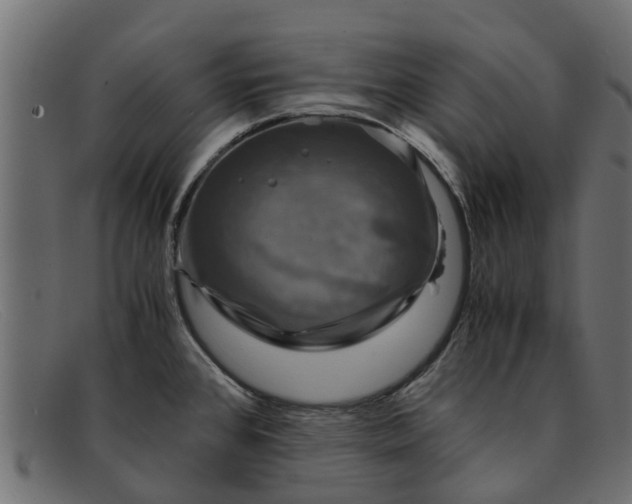 X0000091941384200709191411