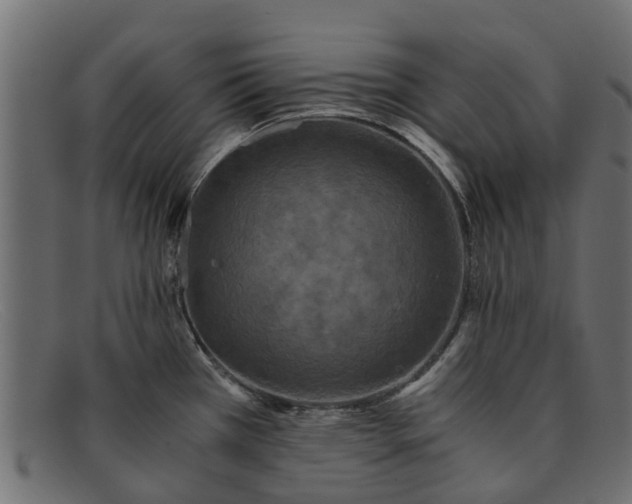 X0000091941385200709191411