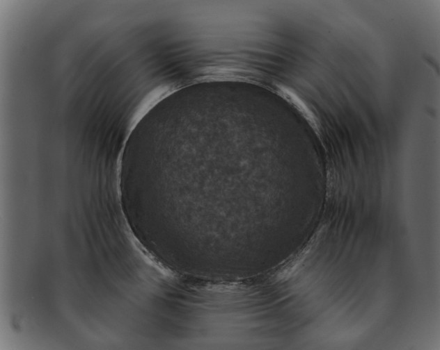 X0000091941386200709191411