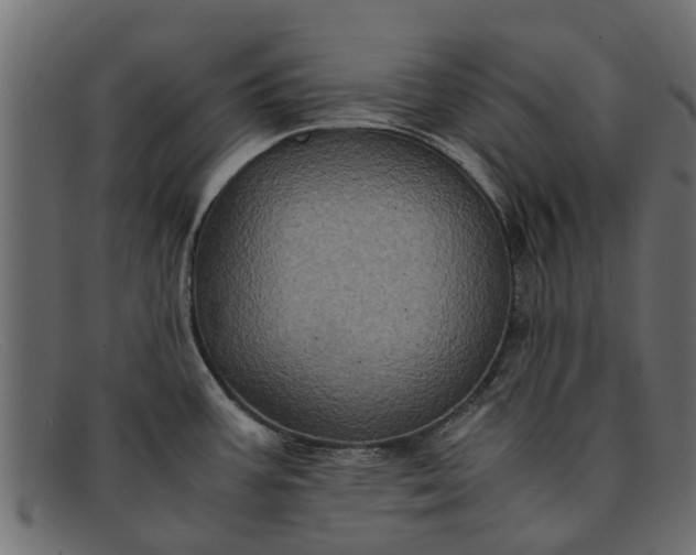 X0000091941387200709191411