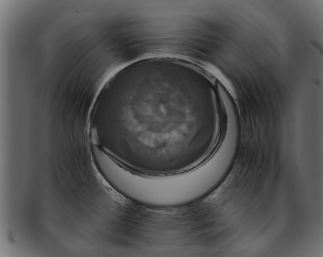 X0000091941388200709191411