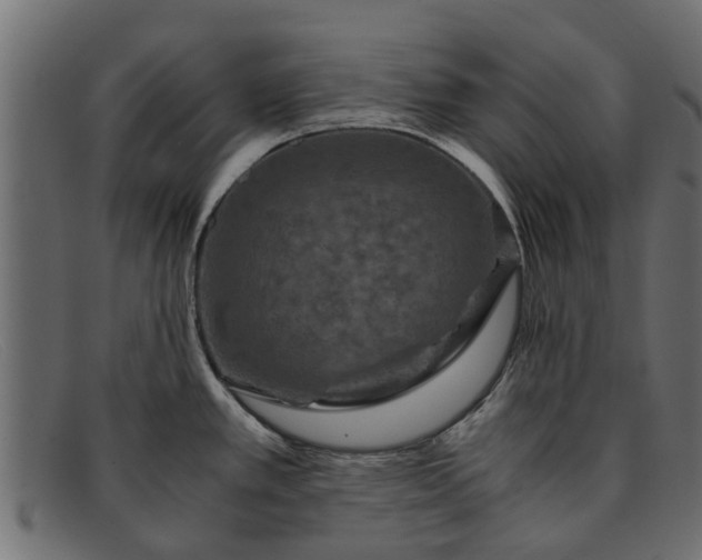 X0000091941389200709191411