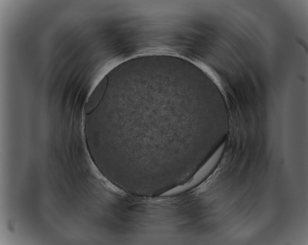 X0000091941390200709191411