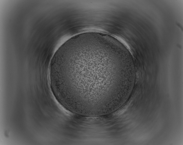 X0000091941391200709191411