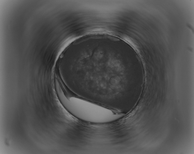 X0000091941392200709191411