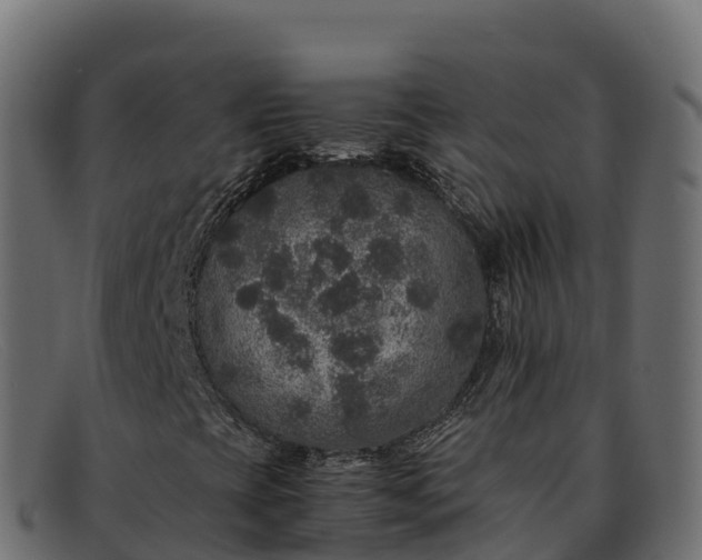 X0000091941393200709191410