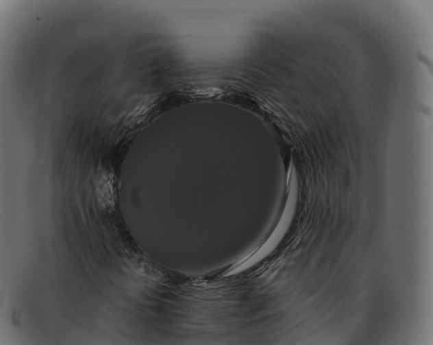 X0000091941394200709191410