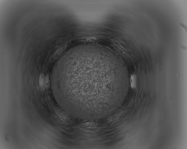 X0000091941395200709191410