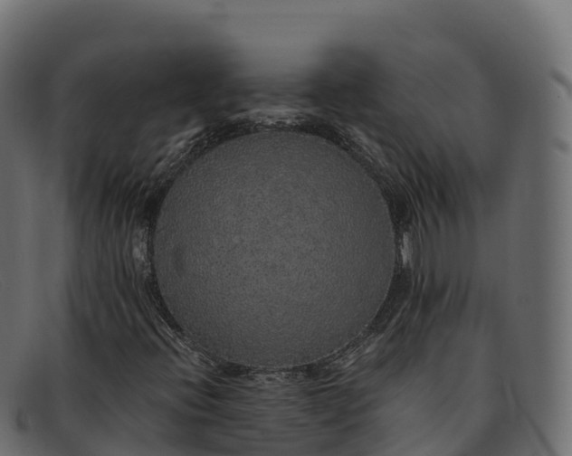 X0000091941396200709191410