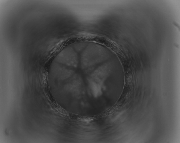 X0000091941397200709191410