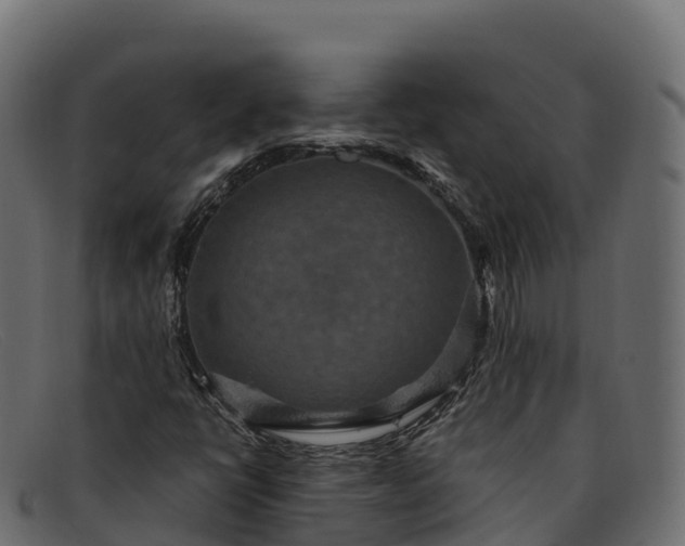 X0000091941398200709191411