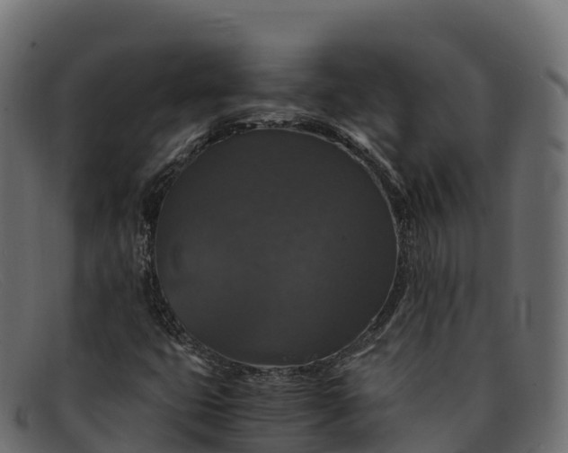 X0000091941399200709191411