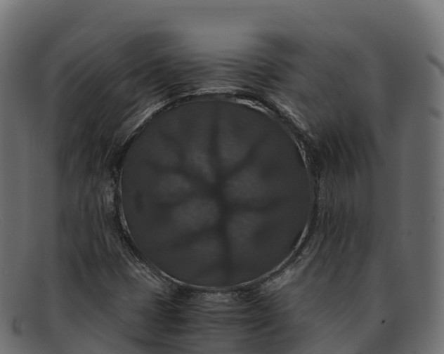 X0000091941401200709191411