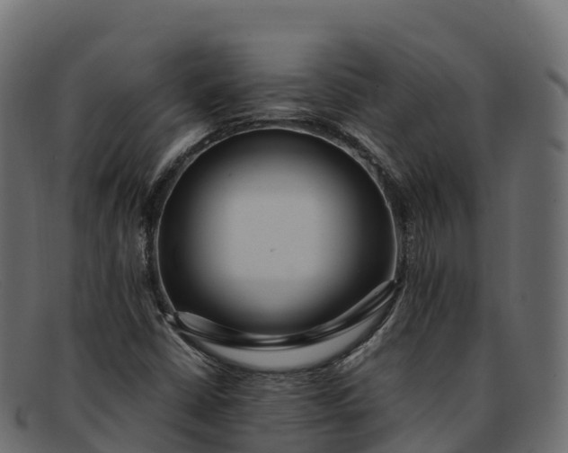 X0000091941402200709191411