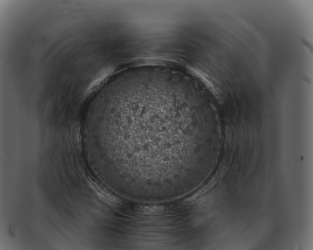 X0000091941403200709191411