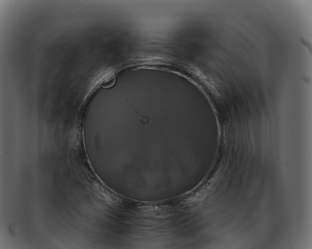 X0000091941405200709191411