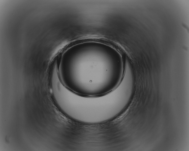 X0000091941406200709191411