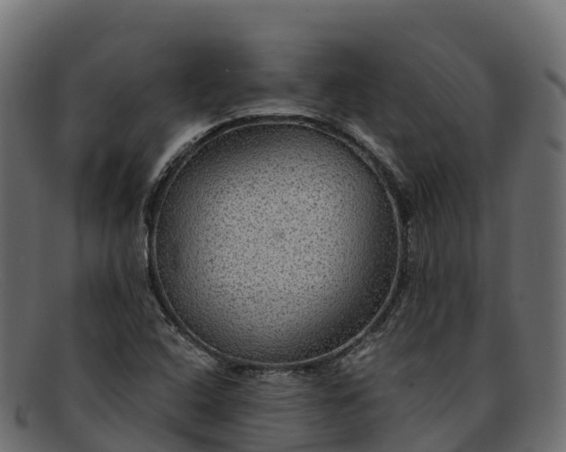 X0000091941408200709191411