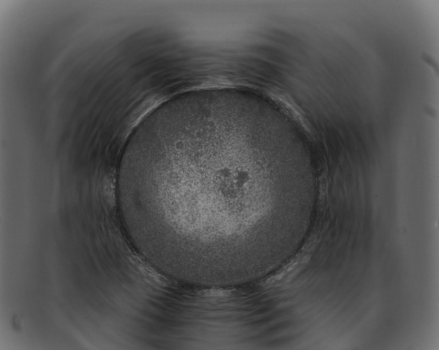 X0000091941409200709191411