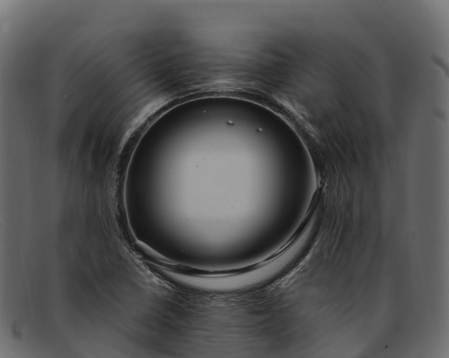 X0000091941410200709191411