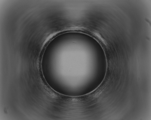 X0000091941412200709191411