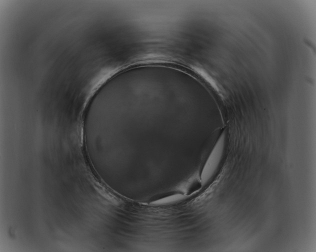 X0000091941413200709191411