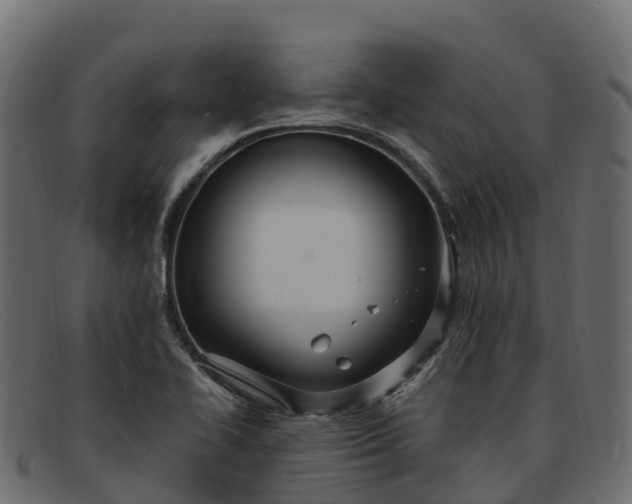 X0000091941414200709191411