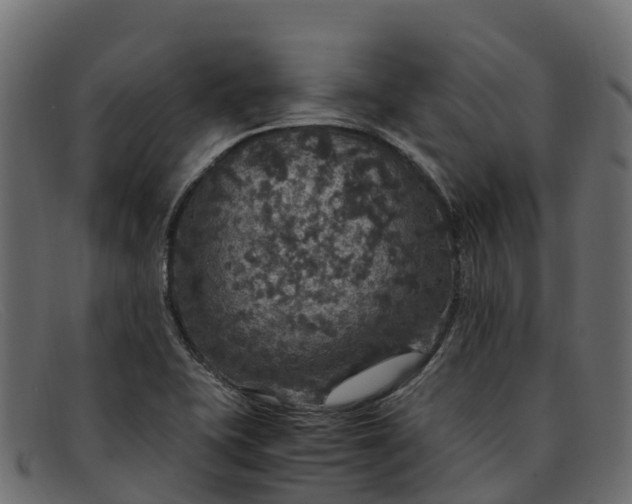 X0000091941415200709191411