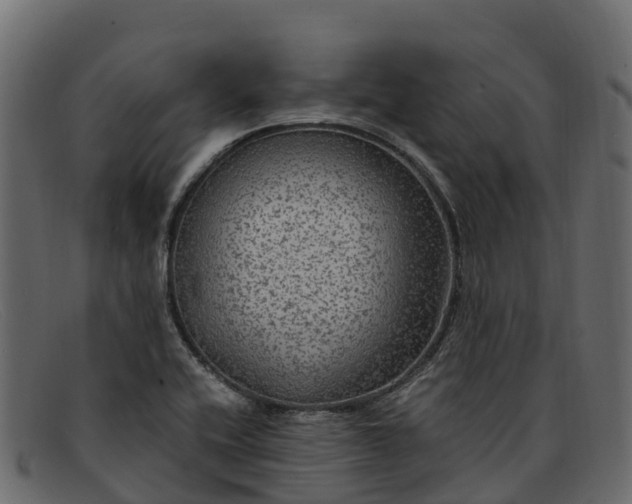 X0000091941416200709191411