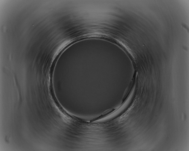 X0000091941418200709191411