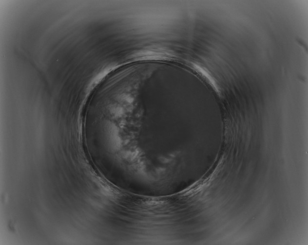 X0000091941419200709191411