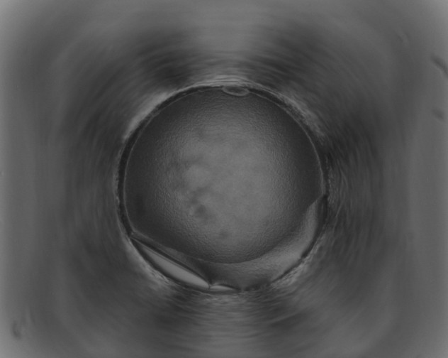 X0000091941422200709191411