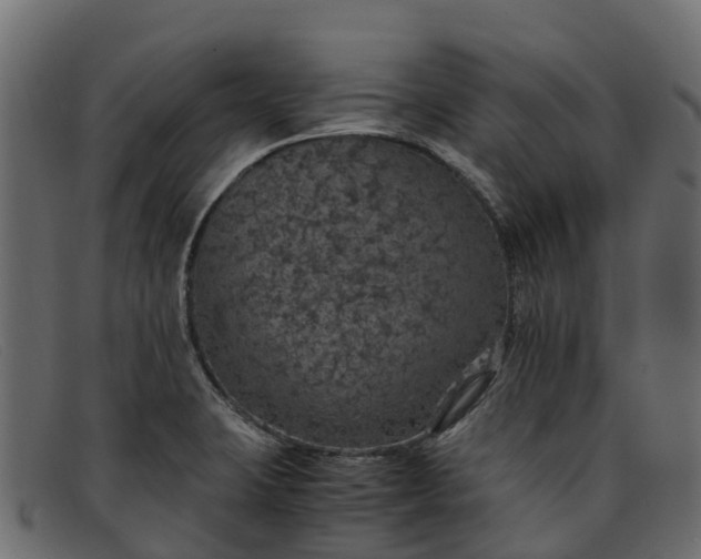 X0000091941423200709191411