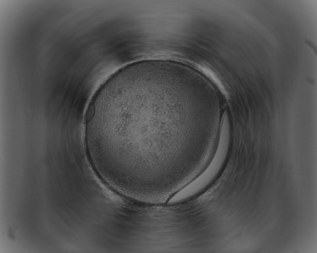 X0000091941424200709191411