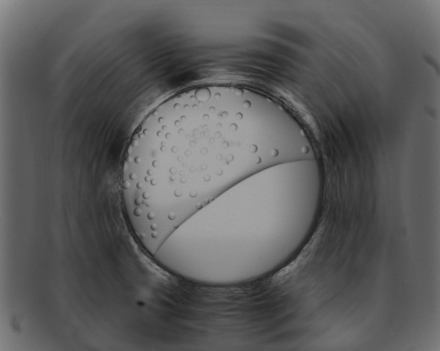 X0000091941425200709191411