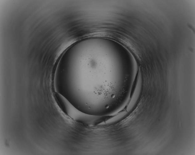 X0000091941426200709191411